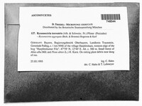 Image Associated With the Occurence